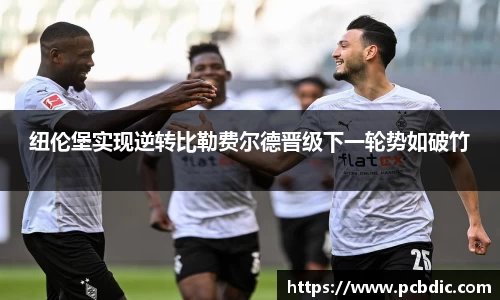 纽伦堡实现逆转比勒费尔德晋级下一轮势如破竹