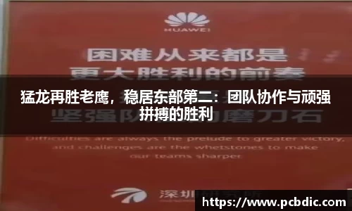猛龙再胜老鹰，稳居东部第二：团队协作与顽强拼搏的胜利