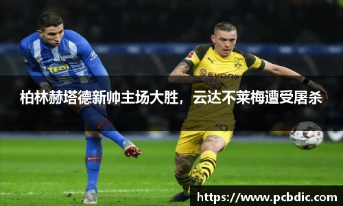 米兰体育官网