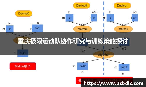 重庆极限运动队协作研究与训练策略探讨