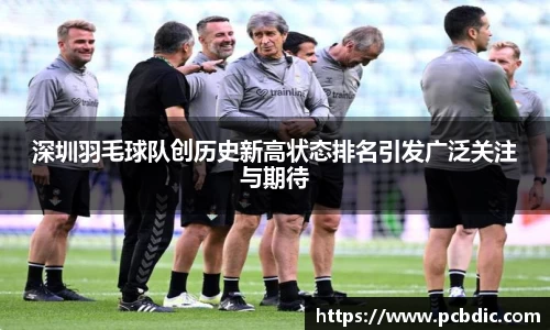 深圳羽毛球队创历史新高状态排名引发广泛关注与期待