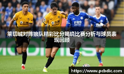 莱切城对阵狼队精彩比分揭晓比赛分析与球员表现回顾