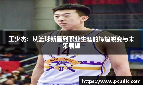 王少杰：从篮球新星到职业生涯的辉煌蜕变与未来展望
