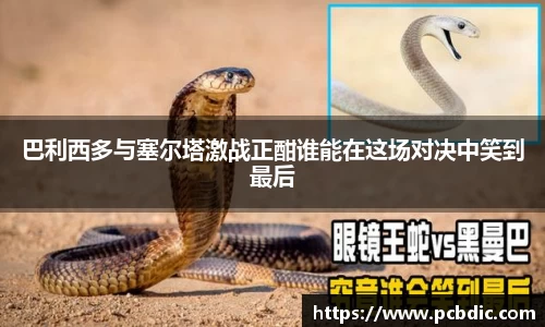 巴利西多与塞尔塔激战正酣谁能在这场对决中笑到最后