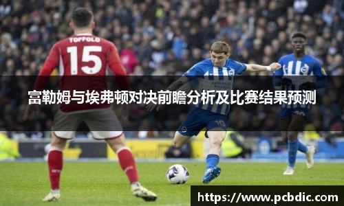 富勒姆与埃弗顿对决前瞻分析及比赛结果预测