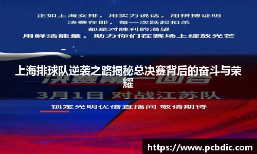 上海排球队逆袭之路揭秘总决赛背后的奋斗与荣耀